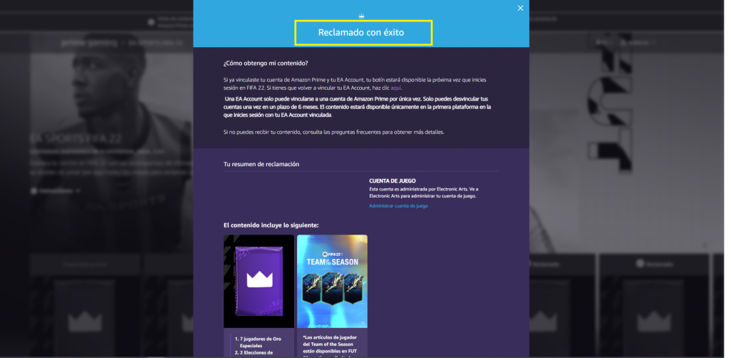 FIFA Gaming Amazon 04